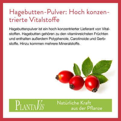 Hagebutte Pulver 150g, A-Nr.: 4545357 - 04