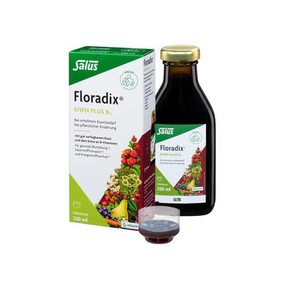 Floradix® Eisen plus B12, A-Nr.: 4355289 - 02