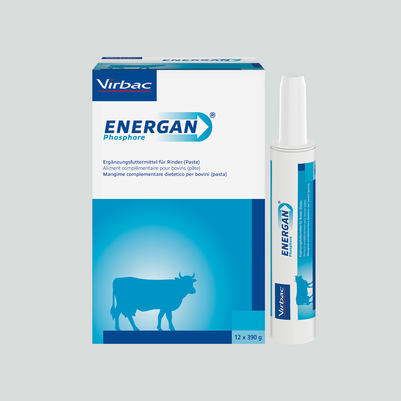 Energan Phosphor für Rinder, A-Nr.: 3003387 - 02