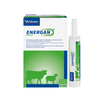 Energan Ketose für Milchkühe und Mutterschafe, A-Nr.: 3003370 - 01