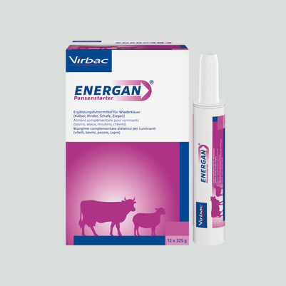 Sie sehen eine Packung Energan Pansenstarter für Kälber, Rinder, Schafe, Ziegen, Produktbild: 02 Energan Pansenstarter für Kälber, Rinder, Schafe, Ziegen, A-Nr.: 4345061 - 02