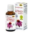 Espara Echinacea Compositum Alchemistische Essenz, A-Nr.: 4039967 - 02
