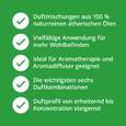 Duftmischungen TOP 6 Set, A-Nr.: 5594820 - 02