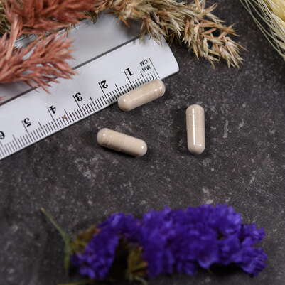 Supplementa Digest™ Kapseln, A-Nr.: 5395552 - 04