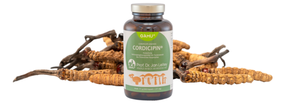 Gamu Cordicipin | Cordyceps sinensis Kapseln, A-Nr.: 5600207 - 02