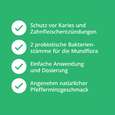 Sie sehen eine Packung Casida Dental Protect Zahnpulver, Produktbild: 03 Casida Dental Protect Zahnpulver, A-Nr.: 5423254 - 03