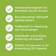 Bromelain Kapseln 500 mg hochdosiert magensaftresistent, A-Nr.: 5629406 - 02