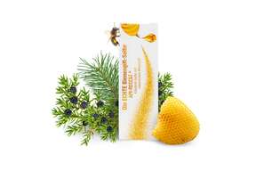Die echte Bienengift-Salbe Api-Regent, A-Nr.: 5305885 - 01