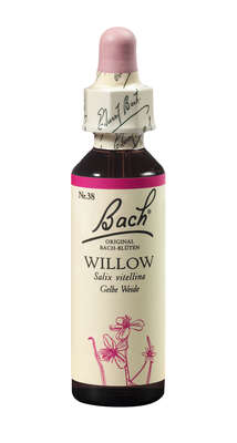 Bach®-Blüte Nr. 38 Willow (Gelbe Weide), A-Nr.: 5323446 - 01