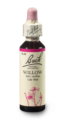 Bach®-Blüte Nr. 38 Willow (Gelbe Weide), A-Nr.: 5323446 - 03