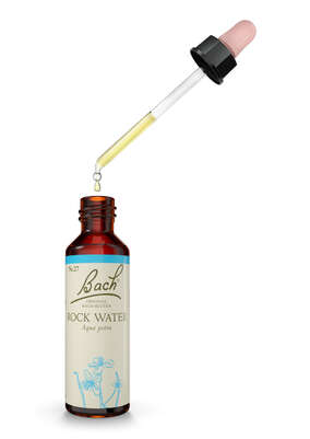 Sie sehen eine Packung Bach®-Blüte Nr. 27 Rock Water (Felswasser), Produktbild: 03 Bach®-Blüte Nr. 27 Rock Water (Felswasser), A-Nr.: 5323311 - 03