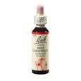 Sie sehen eine Packung Bach®-Blüte Nr. 25 Red Chestnut (Rote Kastanie), Produktbild: 01 Bach®-Blüte Nr. 25 Red Chestnut (Rote Kastanie), A-Nr.: 5323038 - 01