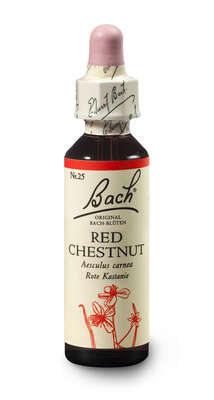 Sie sehen eine Packung Bach®-Blüte Nr. 25 Red Chestnut (Rote Kastanie), Produktbild: 03 Bach®-Blüte Nr. 25 Red Chestnut (Rote Kastanie), A-Nr.: 5323038 - 03