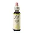 Sie sehen eine Packung Bach®-Blüte Nr. 23 Olive (Olive), Produktbild: 01 Bach®-Blüte Nr. 23 Olive (Olive), A-Nr.: 5323015 - 01