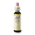 Sie sehen eine Packung Bach®-Blüte Nr. 23 Olive (Olive), Produktbild: 03 Bach®-Blüte Nr. 23 Olive (Olive), A-Nr.: 5323015 - 03