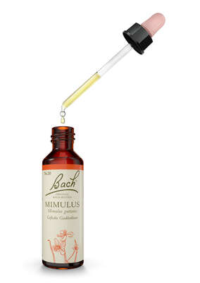 Sie sehen eine Packung Bach®-Blüte Nr. 20 Mimulus (Gefleckte Gauklerblume), Produktbild: 03 Bach®-Blüte Nr. 20 Mimulus (Gefleckte Gauklerblume), A-Nr.: 5322984 - 03