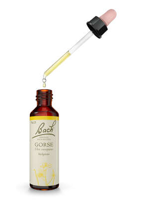 Sie sehen eine Packung Bach®-Blüte Nr. 13 Gorse (Stechginster), Produktbild: 03 Bach®-Blüte Nr. 13 Gorse (Stechginster), A-Nr.: 5322760 - 03