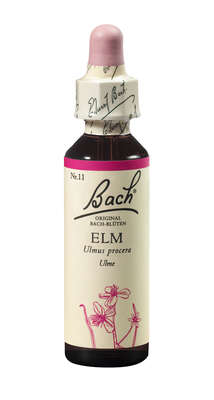 Bach®-Blüte Nr. 11 Elm (Ulme), A-Nr.: 5322895 - 01