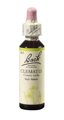 Bach®-Blüte Nr. 9 Clematis (Weiße Waldrebe), A-Nr.: 5322872 - 01