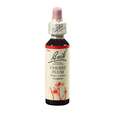 Bach®-Blüte Nr. 6 Cherry Plum (Kirschpflaume), A-Nr.: 5322837 - 01