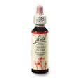 Bach®-Blüte Nr. 6 Cherry Plum (Kirschpflaume), A-Nr.: 5322837 - 02