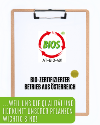 Auwald® - Schafgarbe - BIO Tropfen (Auszug, Extrakt, Essenz), A-Nr.: 5709772 - 02
