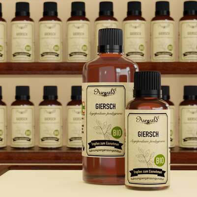 Sie sehen eine Packung Auwald® - Giersch - BIO Tropfen (Auszug, Extrakt, Essenz), Produktbild: 04 Auwald® - Giersch - BIO Tropfen (Auszug, Extrakt, Essenz), A-Nr.: 5709849 - 04