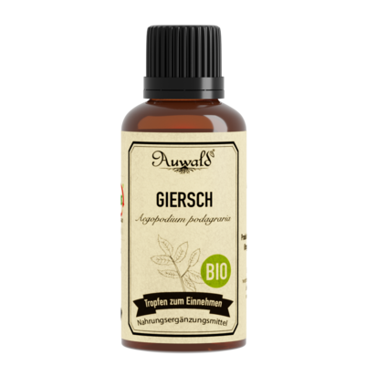 Auwald® - Giersch - BIO Tropfen (Auszug, Extrakt, Essenz), A-Nr.: 5709625 - 01