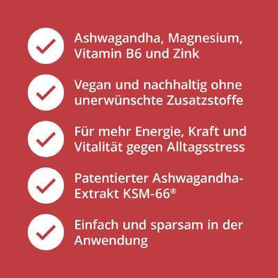 Ashwagandha Kapseln KSM-66® plus Magnesium, Zink und Vitamin B6, A-Nr.: 5820713 - 04