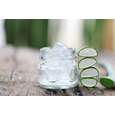 Bio Aloe Vera Saft, Premium, aus Mexiko, 1 Liter, 100% pur, A-Nr.: 5229115 - 02