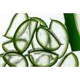 Bio Aloe Vera Saft, Premium, aus Mexiko, 1 Liter, 100% pur, A-Nr.: 5229115 - 03