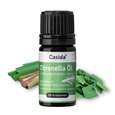 Citronella Öl, A-Nr.: 5679261 - 01
