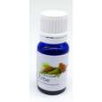 Zirbenkieferöl 10 ml, A-Nr.: 4404131 - 01
