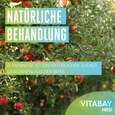 Sie sehen eine Packung Vitabay D-Mannose Pulver 200 g Pulver, Produktbild: 04 Vitabay D-Mannose Pulver 200 g Pulver, A-Nr.: 5878575 - 04