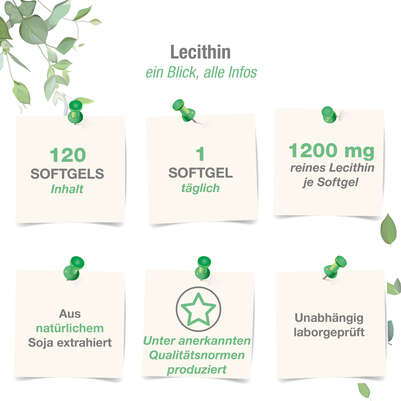 Vitabay LECITHIN 1200 mg Weichkapseln, A-Nr.: 5878316 - 04