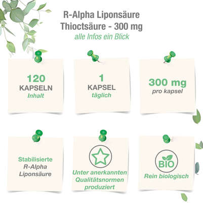 Vitabay R-Alpha Liponsäure 300 mg Kapseln, A-Nr.: 5877699 - 04