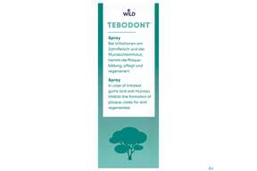 Tebodont Spray 25ml, A-Nr.: 3090073 - 01