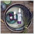 Taoasis Deutscher Lavendel Roll-on Bio|demeter 10ml, A-Nr.: 4910986 - 03