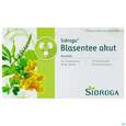 Sie sehen eine Packung Sidroga Tee Doppelkammerbeutel Blasentee Akut 20st, Produktbild: 01 Sidroga Tee Doppelkammerbeutel Blasentee Akut 20st, A-Nr.: 4039430 - 01
