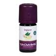 Aetherische Oele Taoasis Bio Ingwer 5ml, A-Nr.: 3494965 - 01