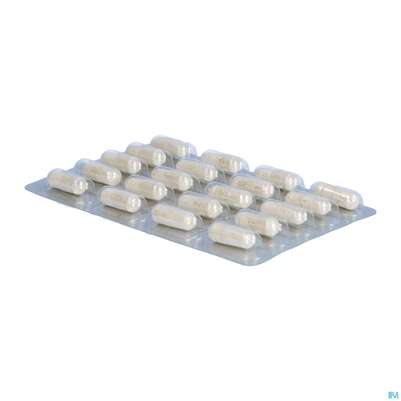 Jod Calcium Kapseln Dr.wolz Nr.60622 60st, A-Nr.: 1785687 - 08