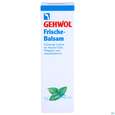 Sie sehen eine Packung Gehwol Frische-balsam Nr 64072 75ml, Produktbild: 01 Gehwol Frische-balsam Nr 64072 75ml, A-Nr.: 1393533 - 01