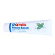 Sie sehen eine Packung Gehwol Frische-balsam Nr 64072 75ml, Produktbild: 06 Gehwol Frische-balsam Nr 64072 75ml, A-Nr.: 1393533 - 06