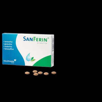 Sie sehen eine Packung SanFerin® Tabletten 40 Stk., Produktbild: 01 SanFerin® Tabletten 40 Stk., A-Nr.: 4316705 - 01