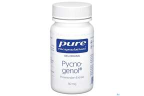 Pure Encapsulations Pycnogenol 60 Kapseln, A-Nr.: 2312198 - 01