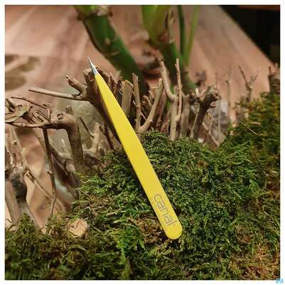 Pinzetten Canal Rostfrei/splitter 9cm Gelb 2022- 1st, A-Nr.: 4785742 - 02