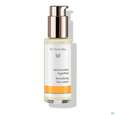 Sie sehen eine Packung Dr. Hauschka Aktivierendes Tagesfluid 50ml, Produktbild: 02 Dr. Hauschka Aktivierendes Tagesfluid 50ml, A-Nr.: 5405664 - 02