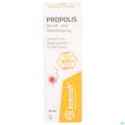 Mundspray +propolis Mund +rachen Beecraft Nr.62009 15ml, A-Nr.: 5211606 - 01