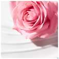 Sie sehen eine Packung Nuxe Very Rose Clean/milk Reinigungsmilch 200ml, Produktbild: 05 Nuxe Very Rose Clean/milk Reinigungsmilch 200ml, A-Nr.: 5301321 - 05