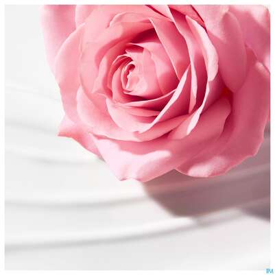 Sie sehen eine Packung Nuxe Very Rose Clean/milk Reinigungsmilch 200ml, Produktbild: 05 Nuxe Very Rose Clean/milk Reinigungsmilch 200ml, A-Nr.: 5301321 - 05